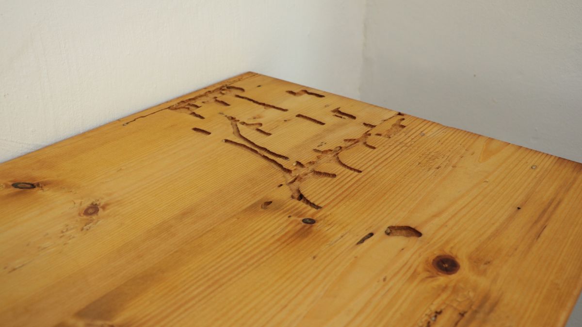 holzschrank-restaurierung-holzwurm-loecher-frass-nach-oelen-61e42885.jpeg