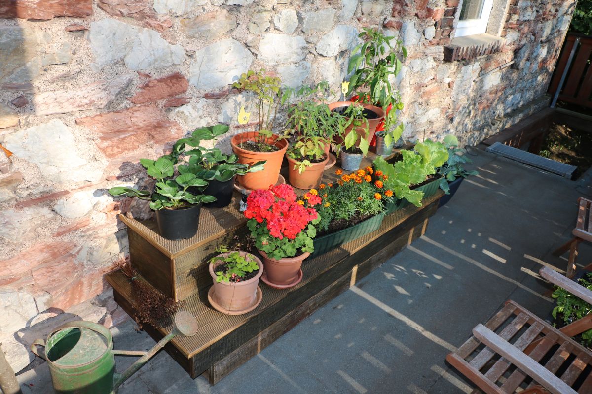 kraeuterbank-aus-restholz-pflanzen-auf-kraeuterbank-d7bb4640.jpeg